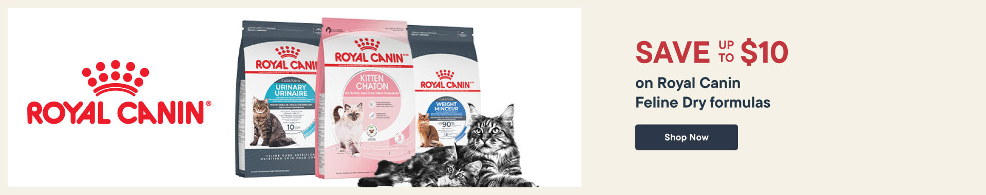 Save Up to $10 on Royal Canin Feline Dry formulas