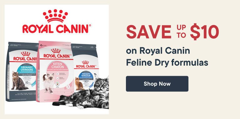 Save Up to $10 on Royal Canin Feline Dry formulas